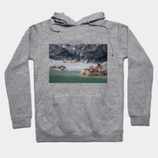 USA. Alaska. Seals. Hoodie